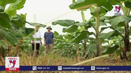 Tránh trục lợi cho vay vốn chính sách 