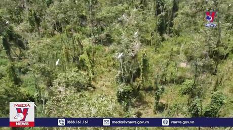 Rừng tràm Gáo Giồng chung tay bảo vệ động vật hoang dã 