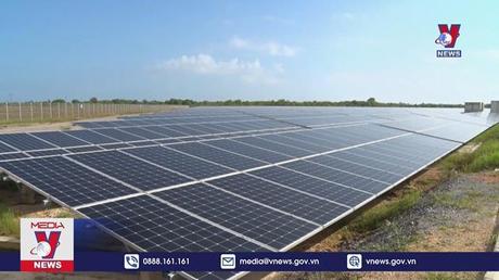 Mỹ miễn thuế Pin năng lượng mặt trời từ Việt Nam