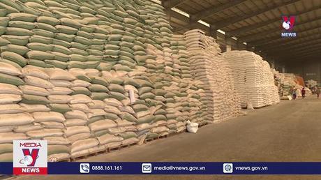 Giá gạo xuất khẩu tiếp tục giảm 