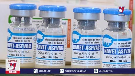 Sản xuất thành công vaccin phòng bệnh tả lợn Châu Phi