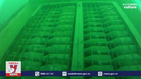 Ủ rượu vang dưới đáy biển sâu