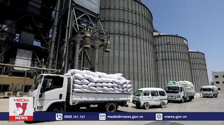 Đàm phán về hành lang nhân đạo xuất khẩu nông sản Ukraine