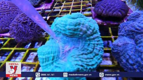 Bảo tồn bền vững nguồn lợi biển