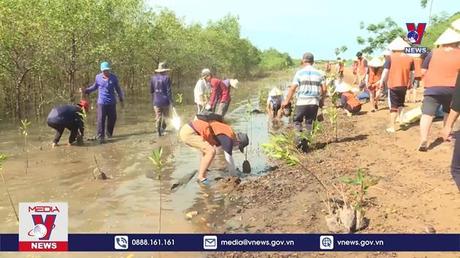Trà Vinh khởi động Dự án phục hồi rừng ngập mặn