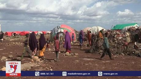 Nguy cơ mất an ninh lương thực thế giới nghiêm trọng