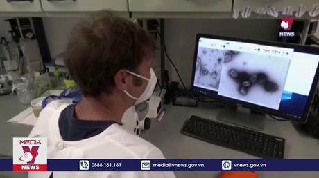 Số ca mắc bệnh đậu mùa khỉ ngoài khu vực châu Phi vượt 1.000 ca