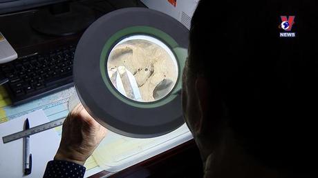 Góc nhìn Vnews ngày 11/6/2022