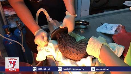 Chính sách và cuộc sống ngày 12/6/2022