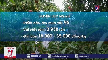 Không có chuyện “giải cứu” vải thiều Lục Ngạn
