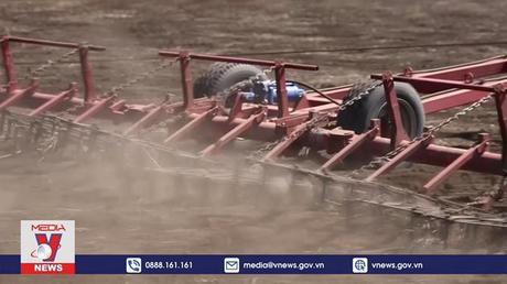 Ukraine thiết lập 2 tuyến xuất khẩu ngũ cốc