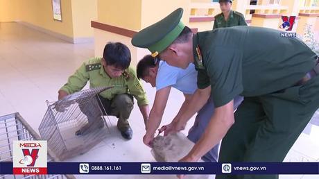 Bản tin thời sự 8h ngày 12/6/2022