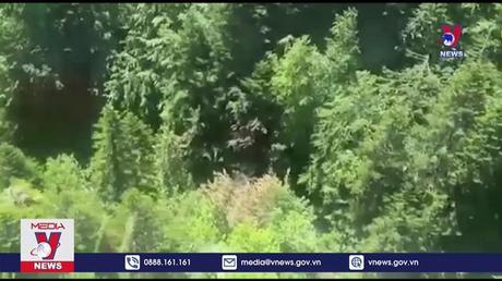 Tìm thấy toàn bộ thi thể vụ tai nạn máy bay ở Italy