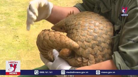 Bản tin thời sự 13h ngày 13/6/2022