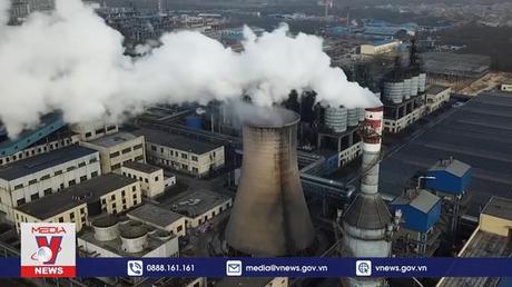 Nhiều công ty lớn không đạt tiến độ cắt giảm khí thải carbon