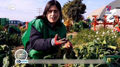 Tạp chí toàn cầu ngày 13/6/2022