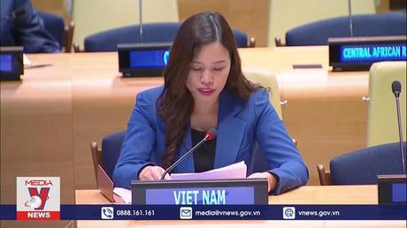 Việt Nam ủng hộ giải pháp toàn diện với cam kết của các bên cho vấn đề Myanmar