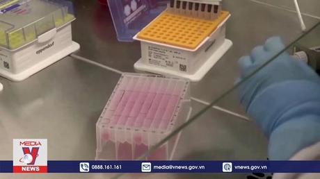 Phát hiện ADN của virus đậu mùa khỉ trong tinh dịch