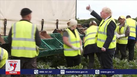 Anh cảnh báo chính sách thuế mới đẩy giá thực phẩm tăng