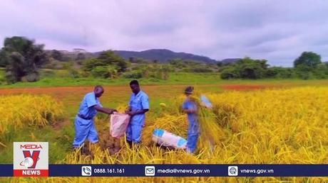 Xung đột Ukraine đe doạ vụ mùa ngũ cốc năm 2023