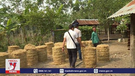 Hỗ trợ đồng bào đảm bảo vệ sinh môi trường chăn nuôi