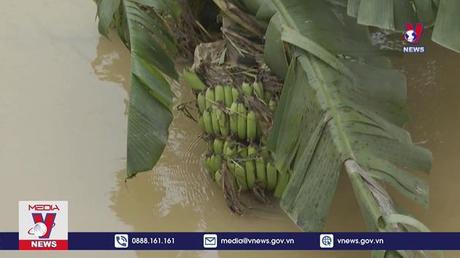 Mực nước ở thượng nguồn sông Hồng dâng cao