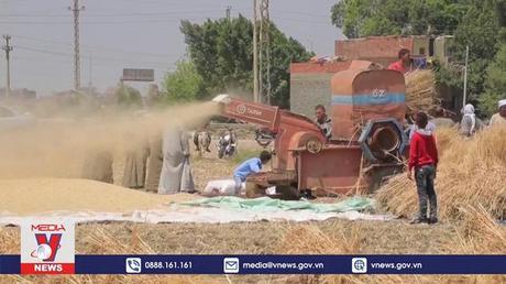 LHQ cảnh báo nạn đói làm trầm trọng thêm tình trạng di cư toàn cầu