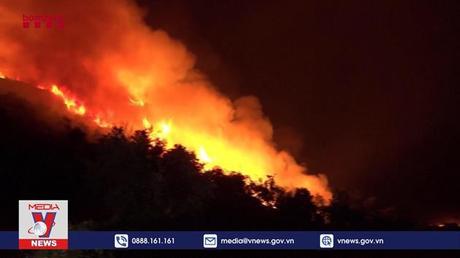 Cháy rừng nghiêm trọng tại Tây Ban Nha