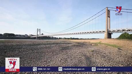 Cháy rừng dữ dội do nắng nóng sớm tại Pháp