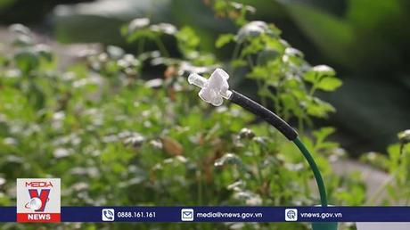 Tu nghiệp sinh nông nghiệp mong mỏi trở về đóng góp cho quê hương