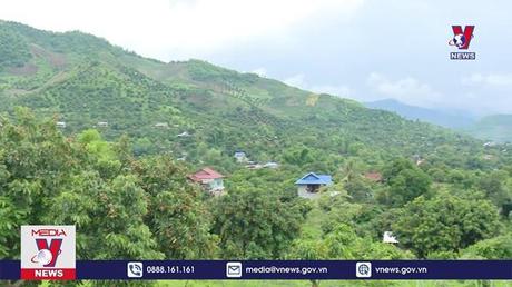 Bản tin Thời sự 13h ngày 16/6/2022