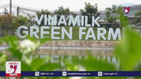 Ngành sữa toàn cầu hướng tới mục tiêu phát triển bền vững