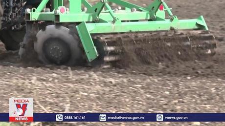 Thổ Nhĩ Kỳ hỗ trợ xuất khẩu ngũ cốc của Ukraine