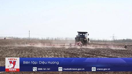 Nga tạo điều kiện cho xuất khẩu ngũ cốc từ Ukraine