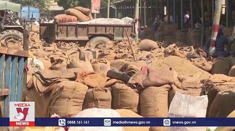 Nga bác bỏ cáo buộc vận chuyển ngũ cốc của Ukraine