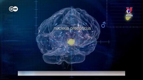 Tạp chí toàn cầu số 541 ngày 17/6/2022