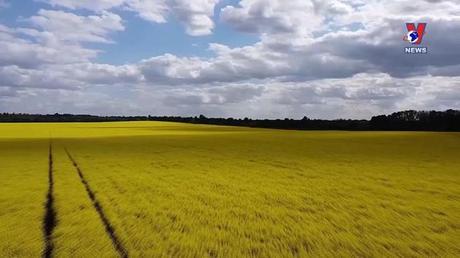 Thế giới hôm nay ngày 17/6/2022