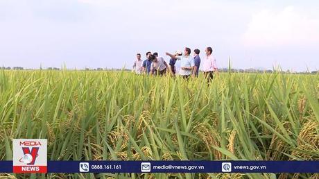 Canh tác thân thiện với môi trường ở Bắc Ninh