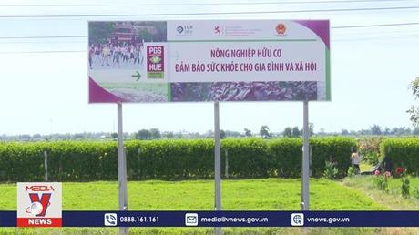 Huyện nông thôn mới bên phá Tam Giang