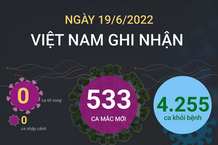 Ngày 19/6: Ca COVID-19 giảm còn 533, thấp nhất trong 12 tháng qua