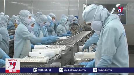 Xuất khẩu tôm sang Canada tăng cao