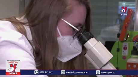 WHO không còn coi đậu mùa khỉ là bệnh đặc hữu 