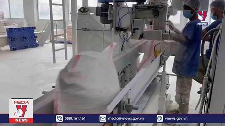 EU hy vọng nối lại xuất khẩu ngũ cốc từ Ukraine