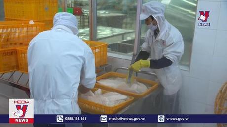 Cá tra tiêu thụ nhiều nhất tại thị trường Bắc Âu