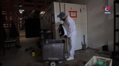 Cuộc sống xanh ngày 19/6/2022