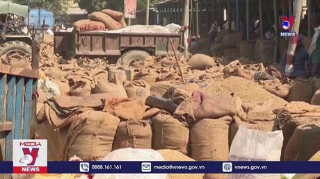 LHQ lo ngại thiếu lương thực viện trợ cho người tị nạn châu Phi