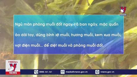 Bộ Y tế kêu gọi mỗi tuần dành 10 phút diệt bọ gậy 