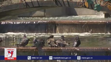 Thụy Sĩ dự báo về quá trình tái thiết tại Ukraine