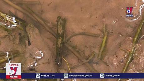 Số ca mắc và tử vong do sốt xuất huyết tăng so với năm ngoái 