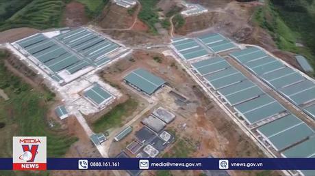 Người dân bức xúc mùi hôi thối từ trang trại nuôi lợn